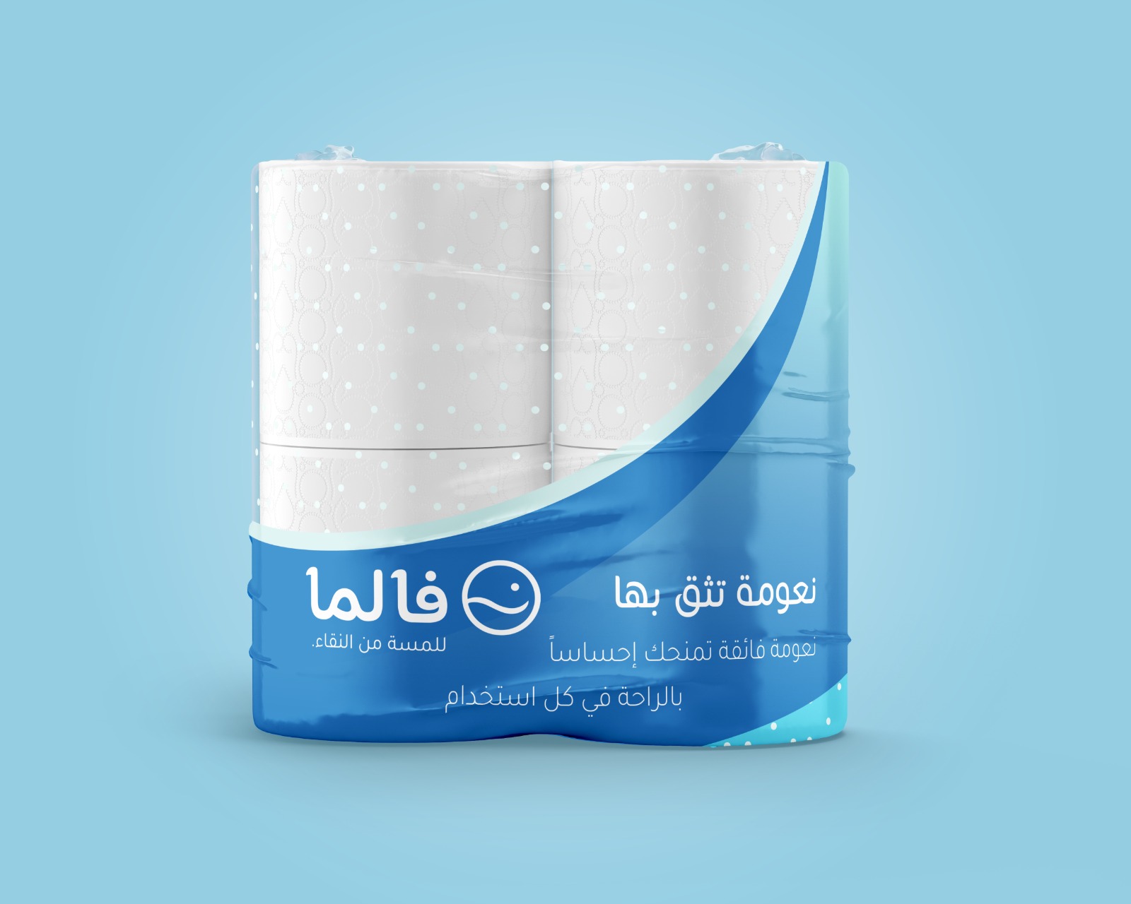 معرض منتجات شركة فالما